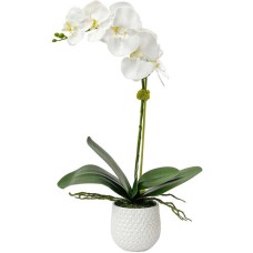 Uttermost Cami Orchid 60178