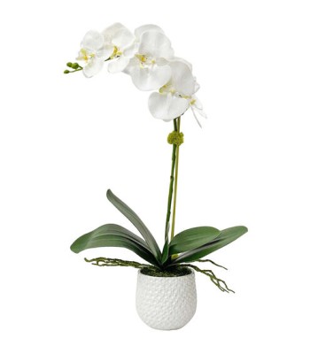 Uttermost Cami Orchid 60178