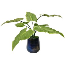 Uttermost Mari Calla Accent Plant 60179