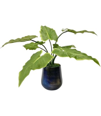 Uttermost Mari Calla Accent Plant 60179