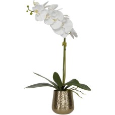 Uttermost Cami Orchid Orchid in Metal Pot 60189