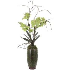 Uttermost Valdive Orchid 60199