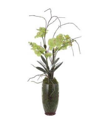 Uttermost Valdive Orchid 60199