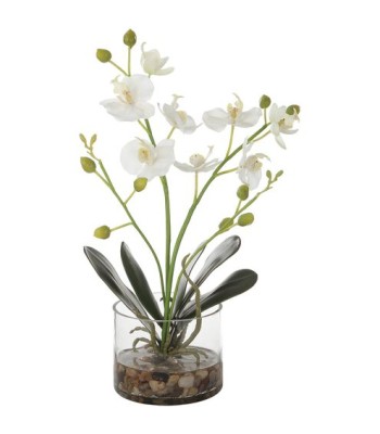 Uttermost Glory Orchid 60201