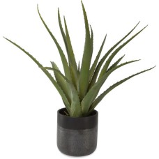 Uttermost Tucson Aloe Planter 60204