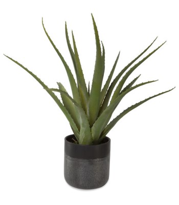 Uttermost Tucson Aloe Planter 60204