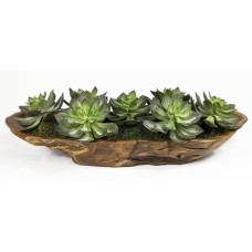 Uttermost Yuma Succulent Centerpiece 60205