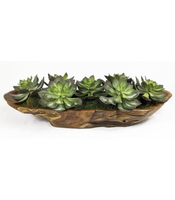 Uttermost Yuma Succulent Centerpiece 60205