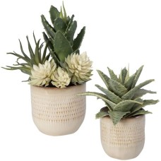 Uttermost Seaside Succulents Succulents 60208