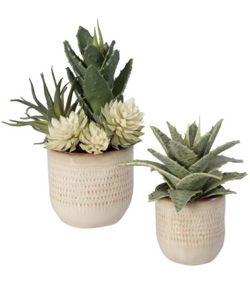 Uttermost Seaside Succulents Succulents 60208