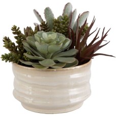 Uttermost Mesa Succulent Succulent Accent 60209