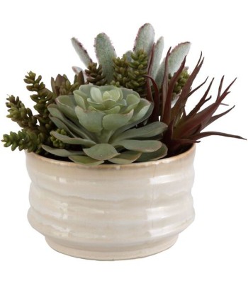 Uttermost Mesa Succulent Succulent Accent 60209