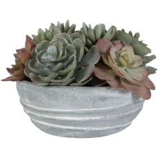 Uttermost Peoria Succulent Accent 60212