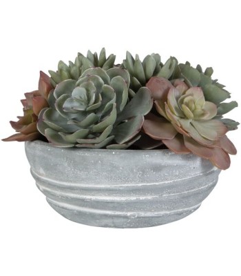 Uttermost Peoria Succulent Accent 60212