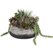 Uttermost Yuma Succulent Centerpiece 60214