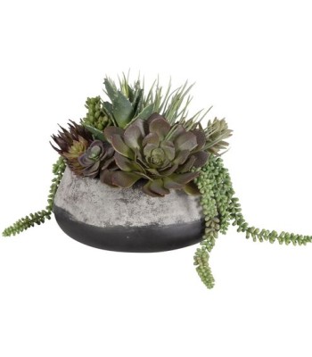 Uttermost Yuma Succulent Centerpiece 60214