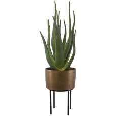 Uttermost Arabia Aloe Planter 60217