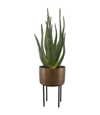Uttermost Arabia Aloe Planter 60217