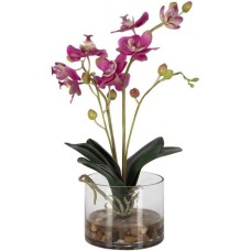 Uttermost Glory Orchid 60220