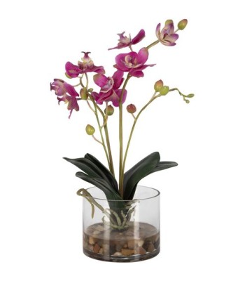 Uttermost Glory Orchid 60220