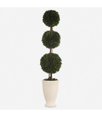 Uttermost Preserved Boxwood Triple Topiary 60223