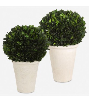 Uttermost Preserved Boxwood Foliage Domes 60224